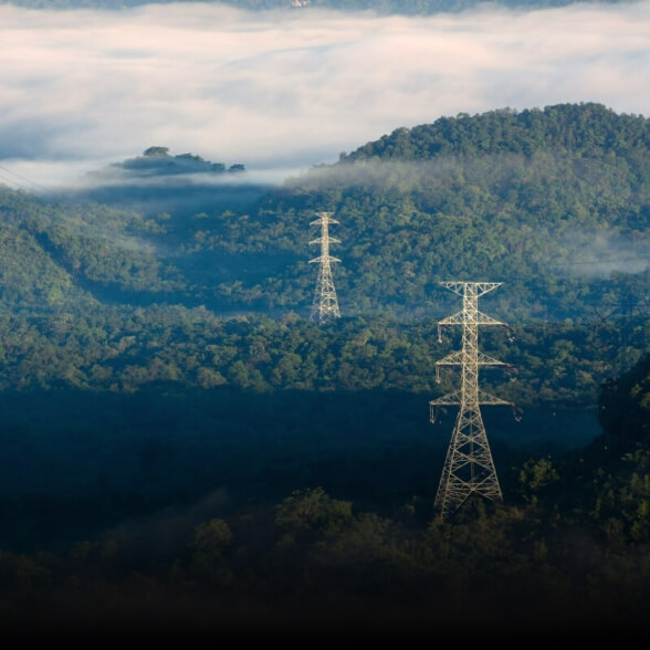 Powerline and Grid Inspection
