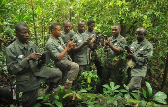 Conservation and Protected Area Management