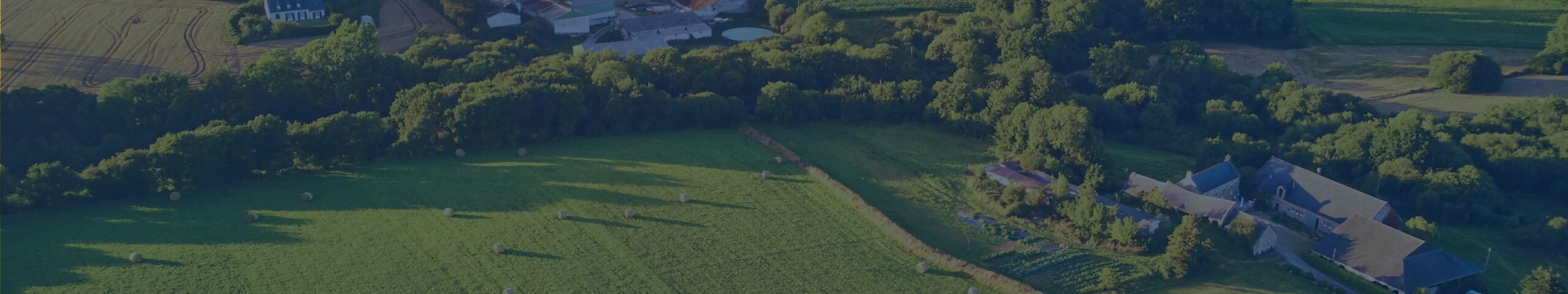 DJI enterprise drone performing a cadastral land survey