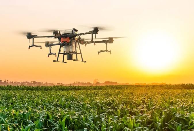 Agriculture and Estate Management