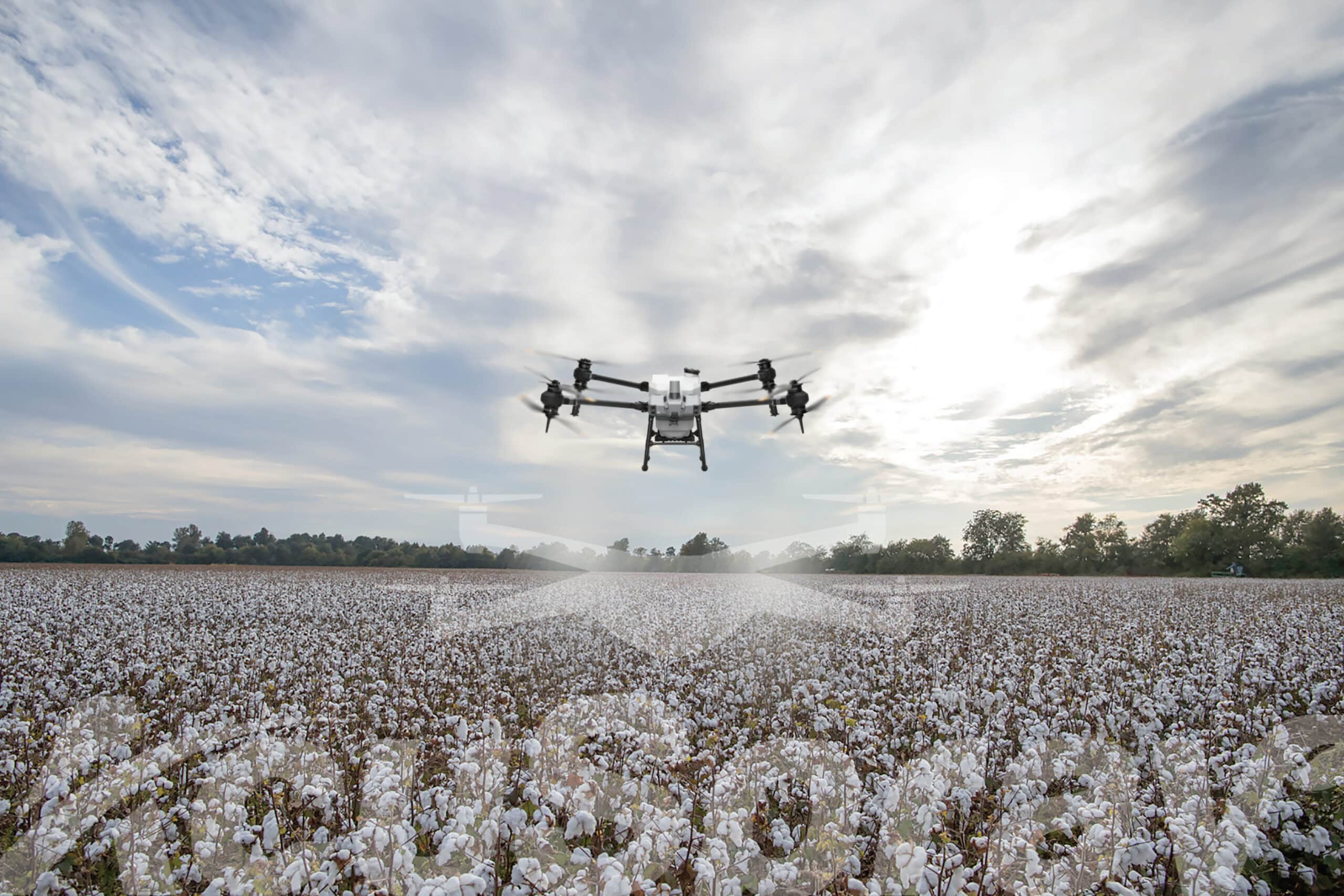 Cotton Operations