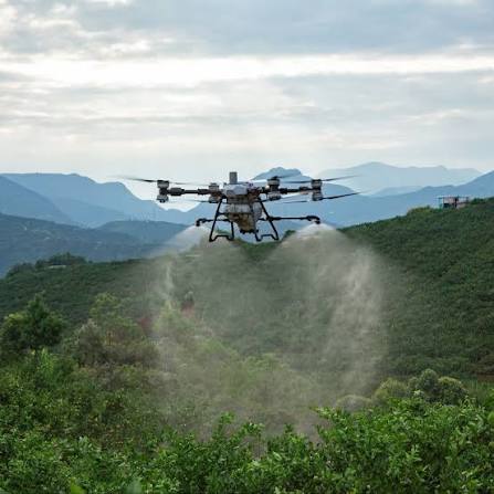 Orchard and Tree Crop Operations
