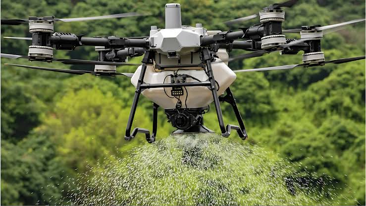 Large-Scale Cereal Farming